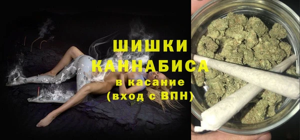 крисы Кодинск