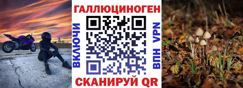 mega маркетплейс  купить закладку  Тутаев  Галлюциногенные грибы Cubensis 