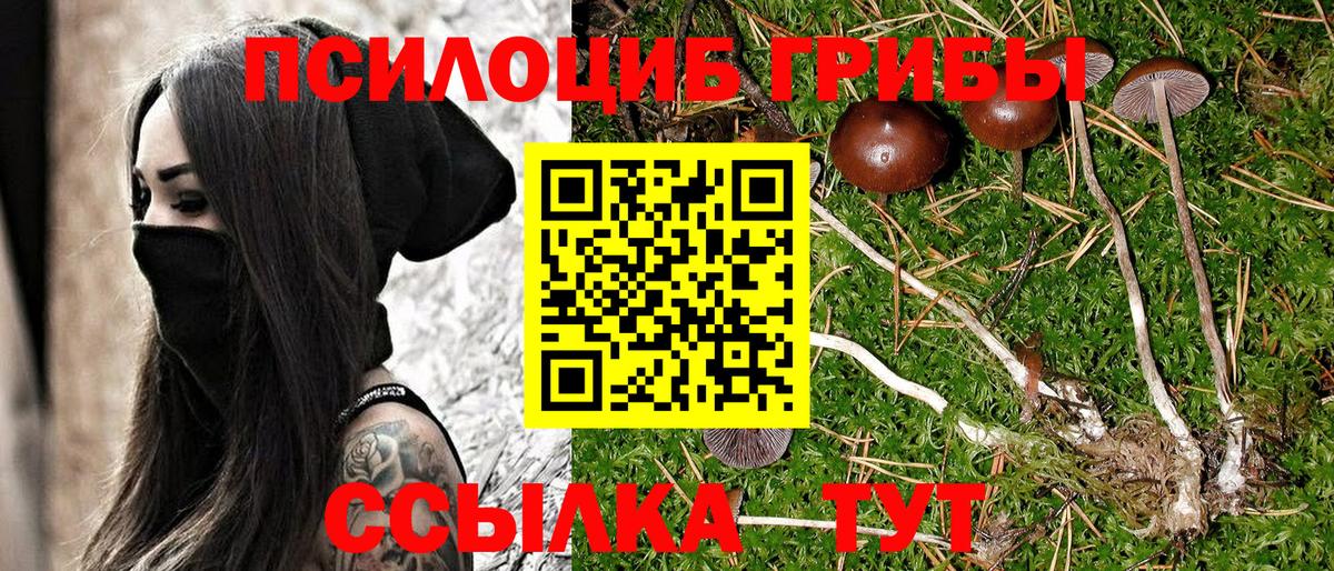 Галлюциногенные грибы мицелий Тутаев