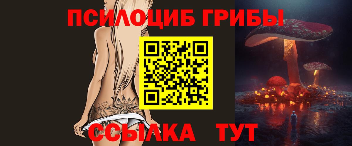 Галлюциногенные грибы прущие грибы  Вход с VPN  Псилоцибиновые грибы Psilocybe  закладка  Тутаев 