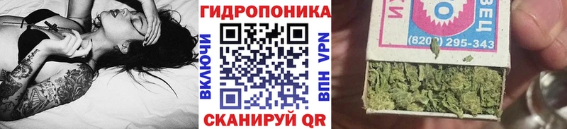 Бошки Шишки план  Тутаев 